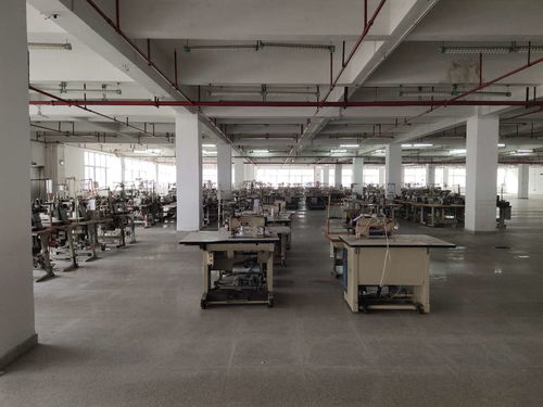 花都區(qū)學(xué)校建筑抗震安全檢測(cè)鑒定工作全面展開，權(quán)威機(jī)構(gòu)助力筑牢校園安全防線